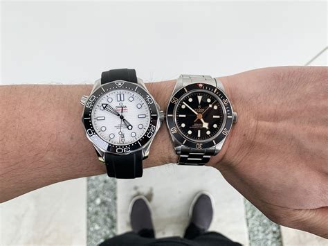 omega seamaster 300 vs tudor gmt